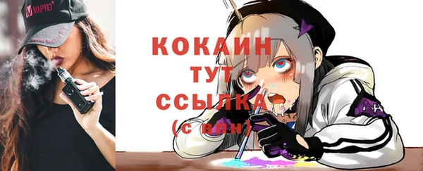 прущие грибы Бородино