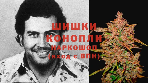 соль ск Верхний Тагил