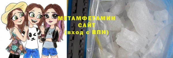 прущие грибы Верея
