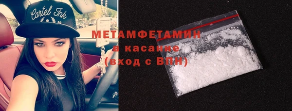 прущие грибы Бородино