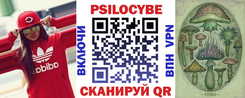 Галлюциногенные грибы Magic Shrooms  купить  цена  мега ссылка  Верхний Тагил 